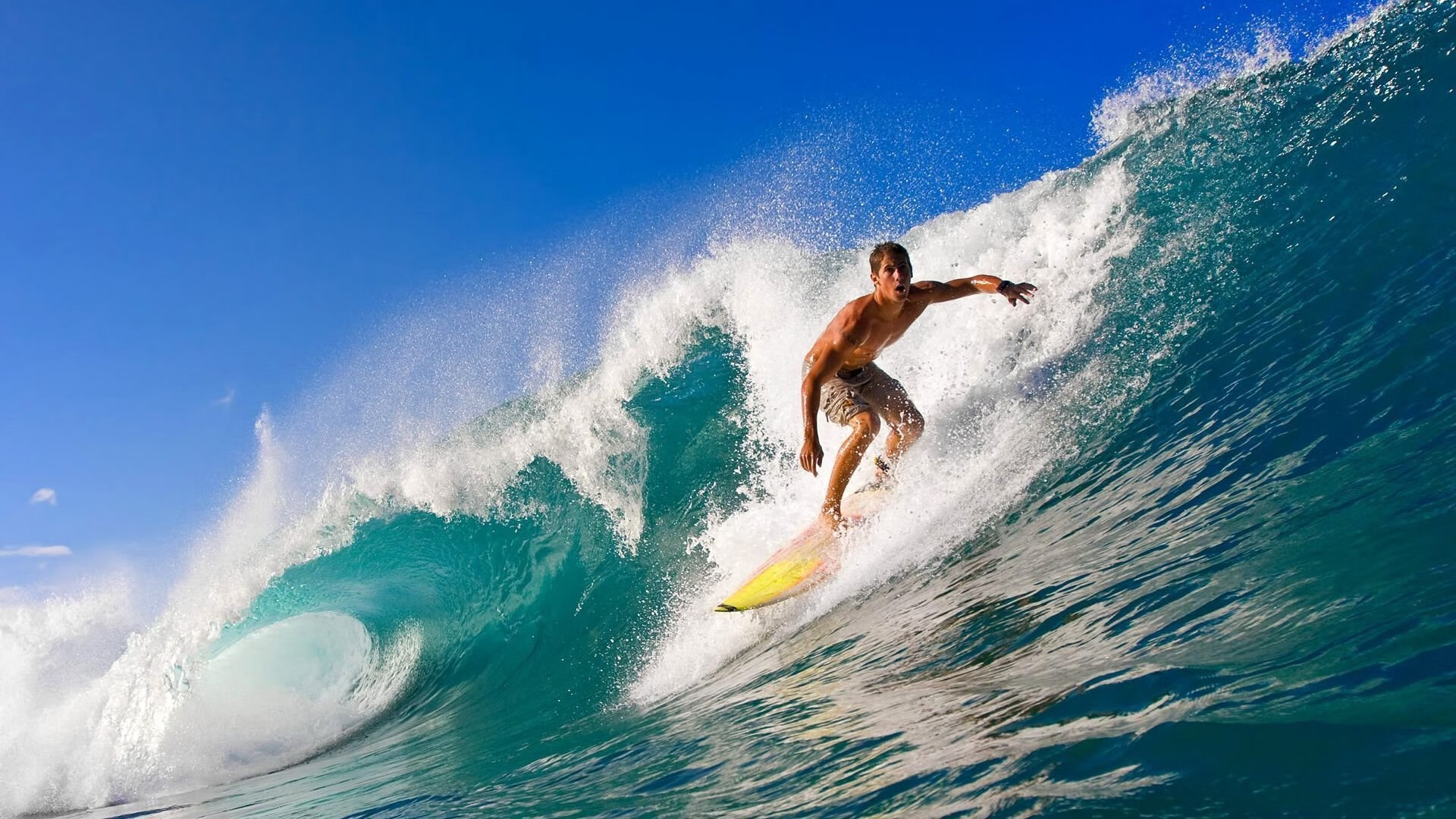 体育新闻中心深化体育原创视频数字版权保护技术，体育视频网络服务